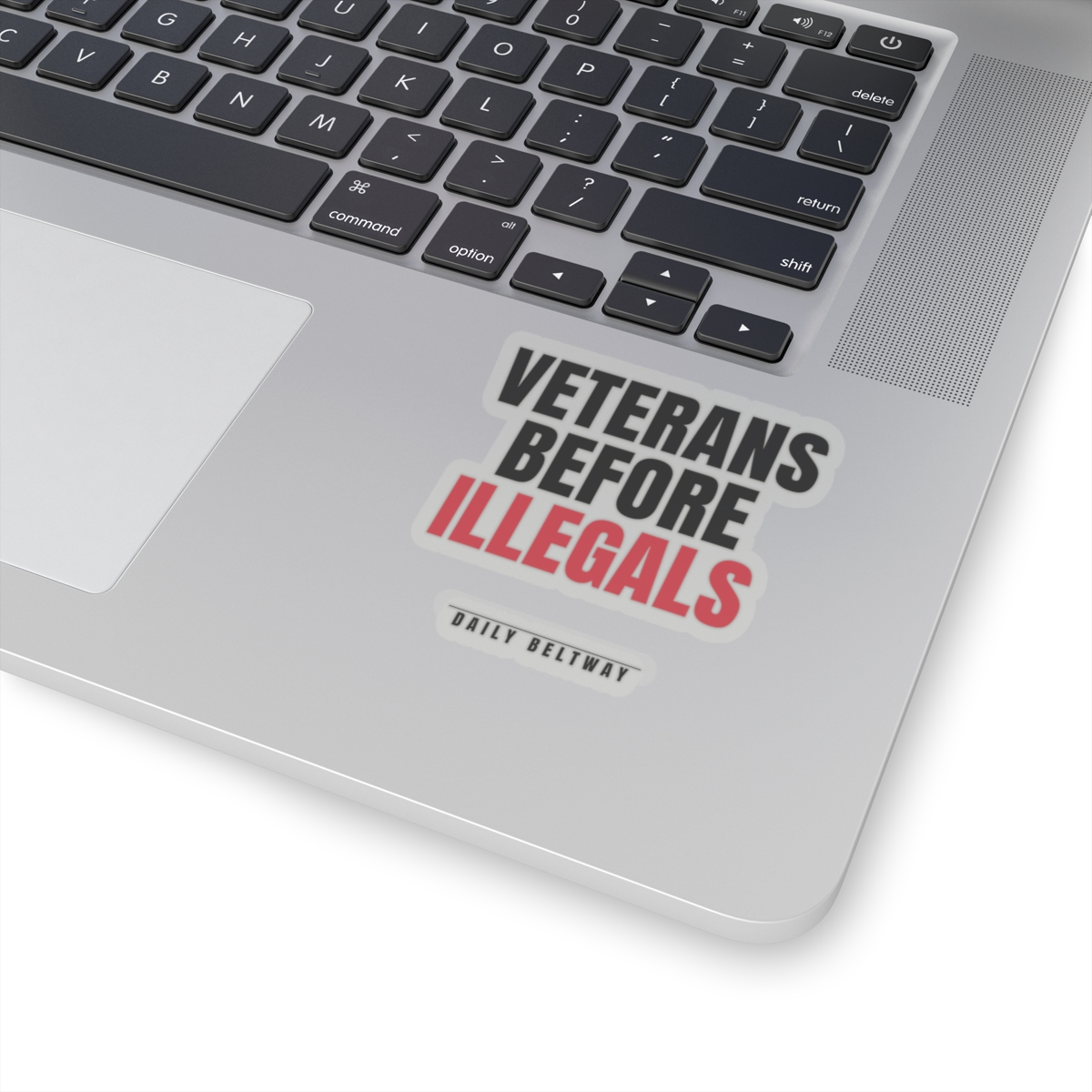 Veterans Before Illegals Sticker — Daily Beltway - Image 8