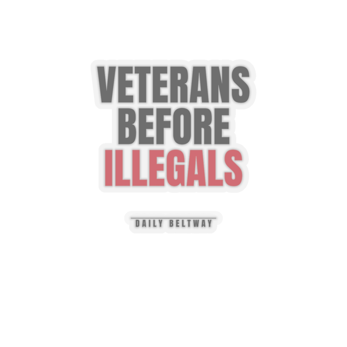 Veterans Before Illegals Sticker — Daily Beltway - Image 7