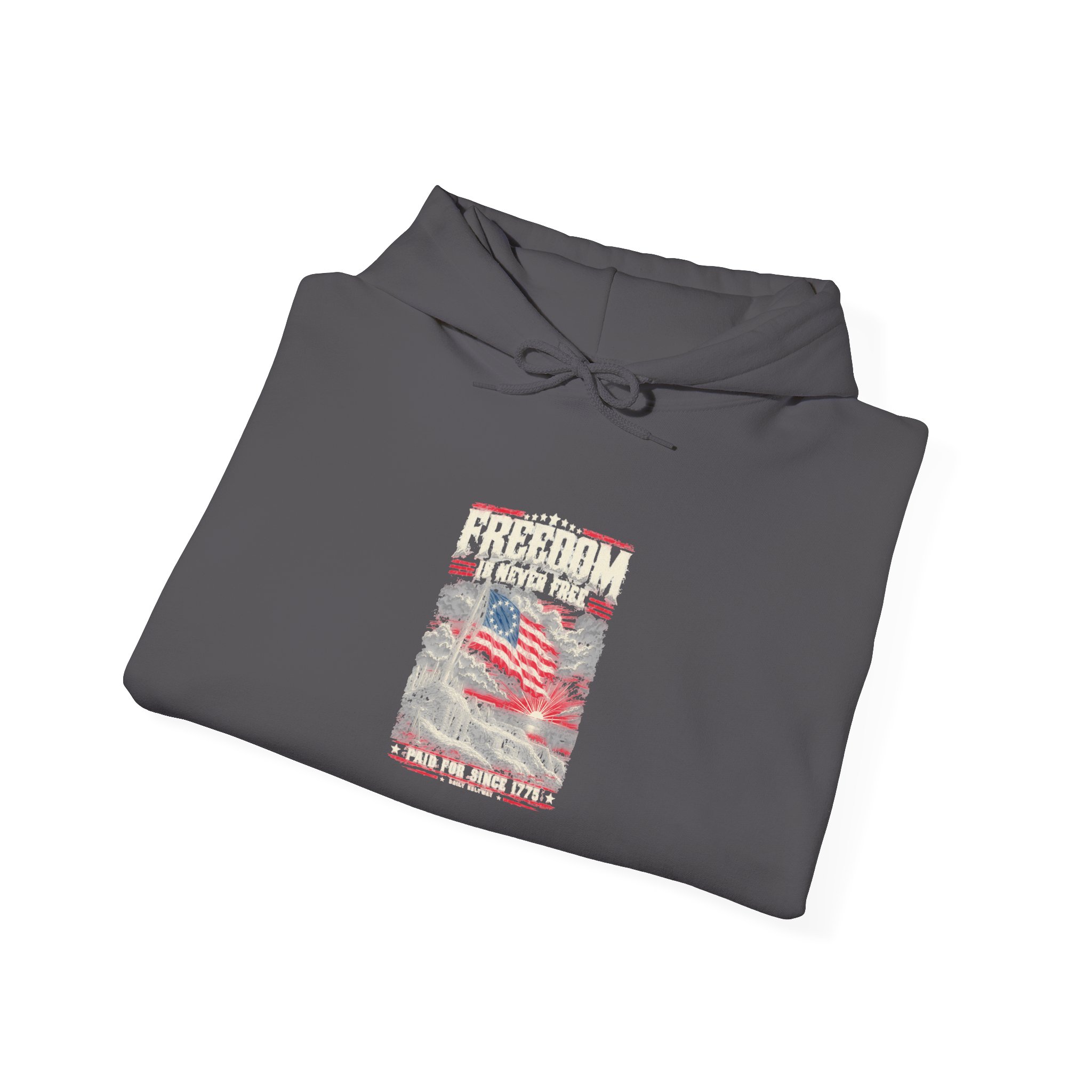 Freedom Is Never Free Hoodie — Daily Beltway - Image 24