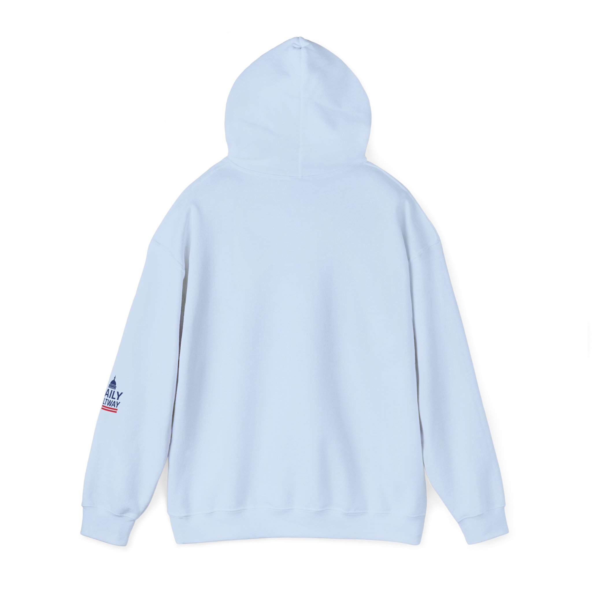 Redistribution Is Theft Hoodie — Daily Beltway - Image 23