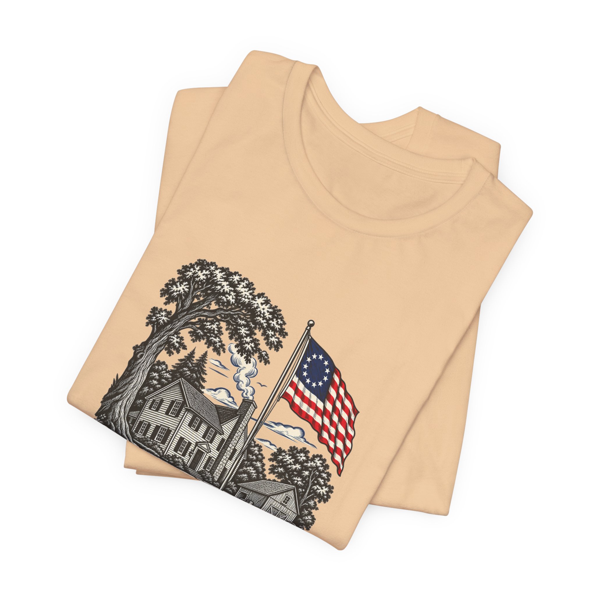 Liberty Dwells Franklin T-Shirt — Daily Beltway - Image 19